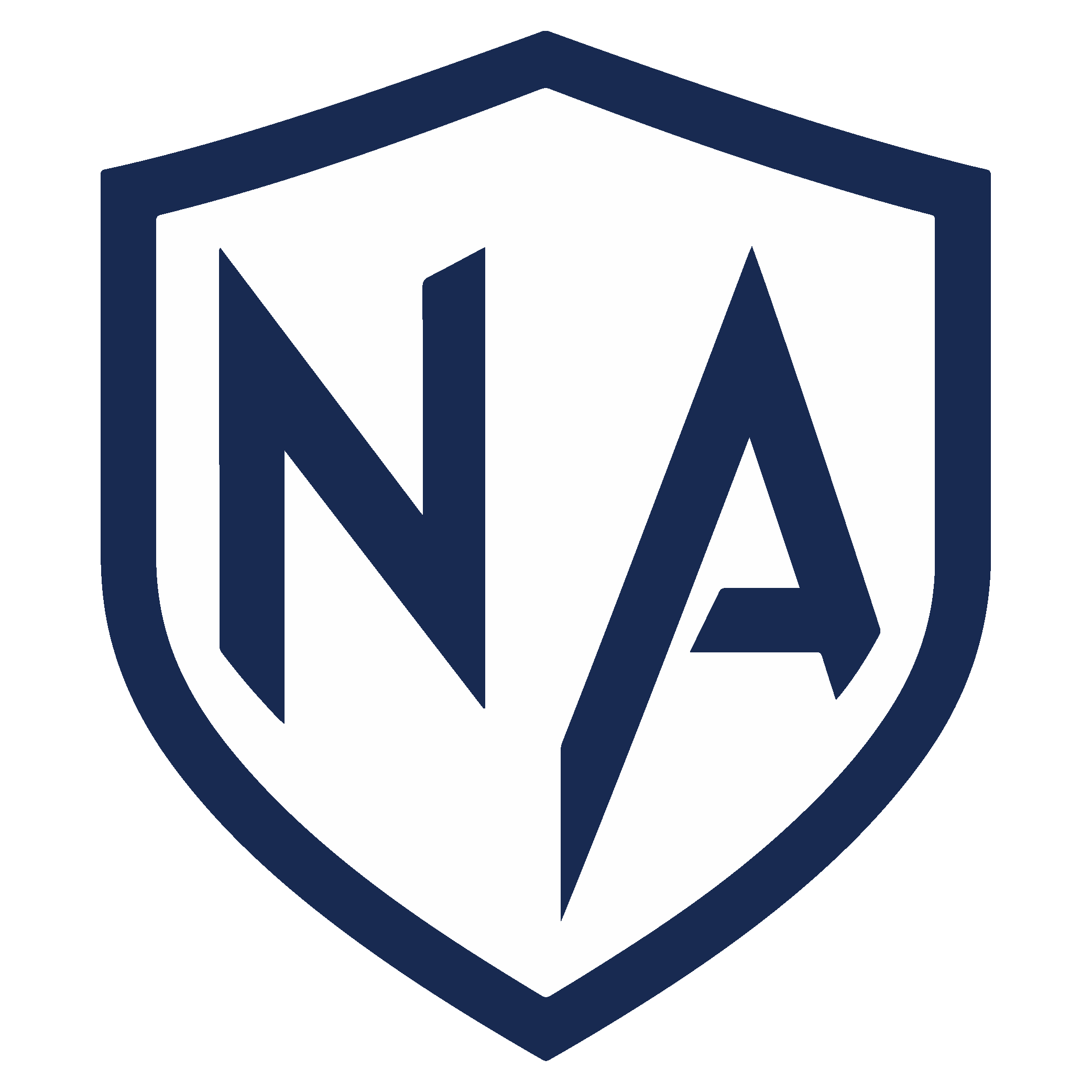 Logo Net-Advisor.ai